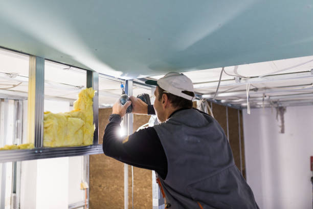 Best Insulation for Specific Applications in Solomon, KS