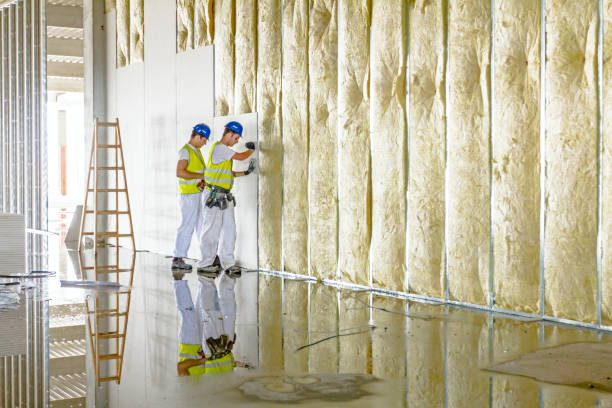 Trusted Solomon, KS Insulation Contractor Experts